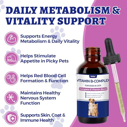 B Complex Food Supplements For Dogs Reviews