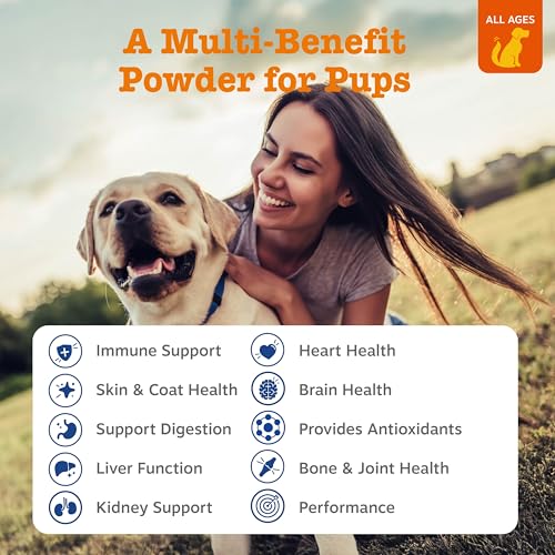 Zesty Paws Multivitamin Powder For Senior Dogs Reviews