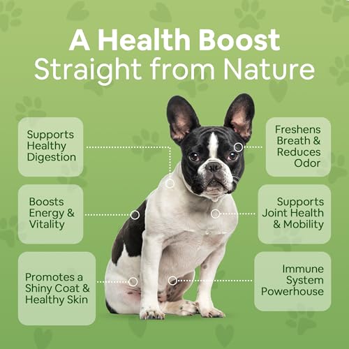 Dog Greens Vitamin And Mineral Powder Reviews
