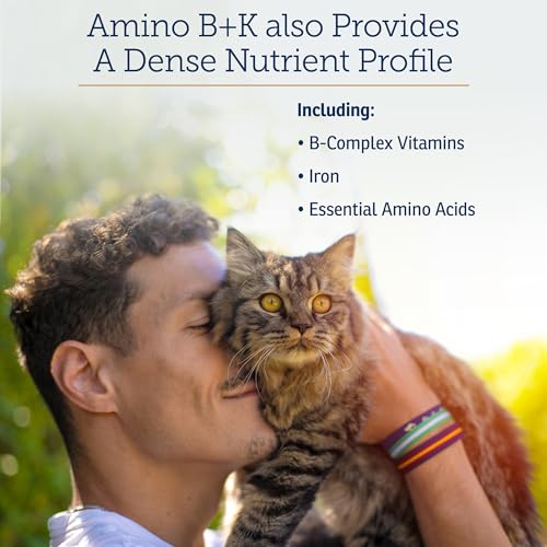 Best B Vitamins For Cats With Kidney Disease