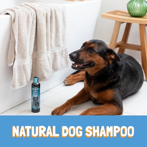 Dog Shampoo Black And Green Bottle Reviews