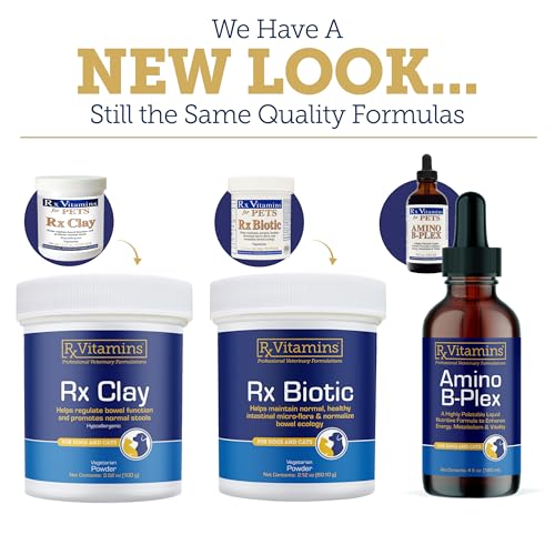 Natural B Vitamins For Cats With Kidney Disease