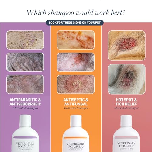 Dog Specific Shampoo Review
