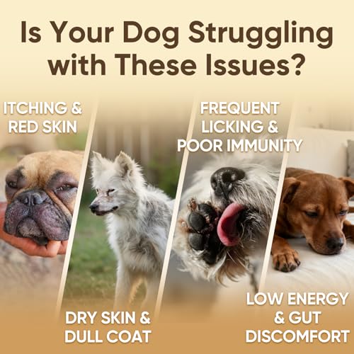Best Multivitamin For Dogs Allergies And Itching