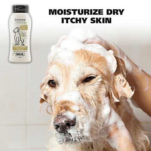 Best Shampoo For White Dogs With Sensitive Skin