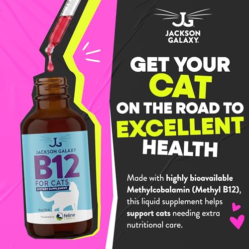 Vitamin B12 Cats Appetite Stimulant Reviews