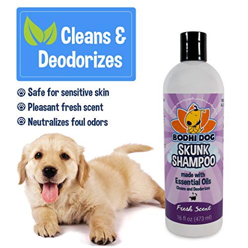 Top 5 Best Skunk Shampoo For Dogs