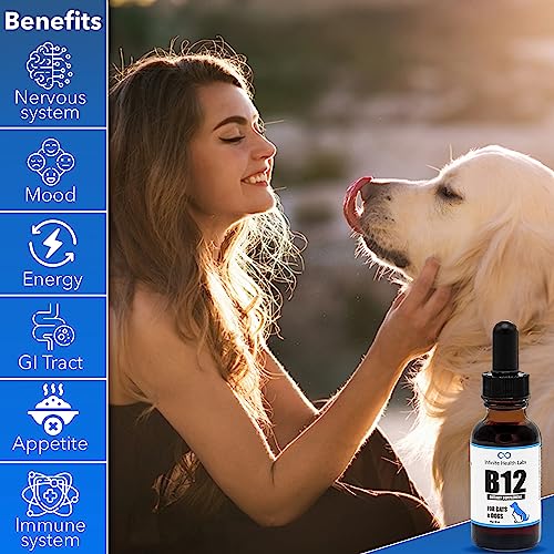 Liquid Vitamin B12 For Cats Reviews