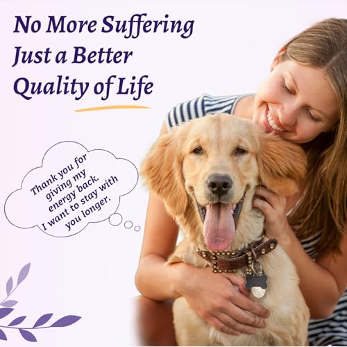 Best Vitamin C Supplement For Dogs With Cancer