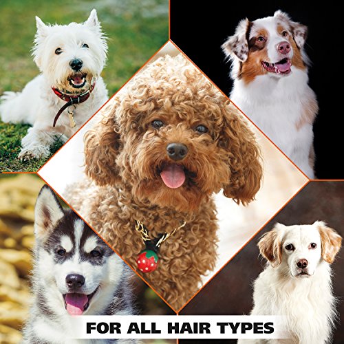 Wahl 4 In 1 Dog Shampoo Review