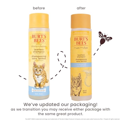 Cat Friendly Shampoo For Kittens