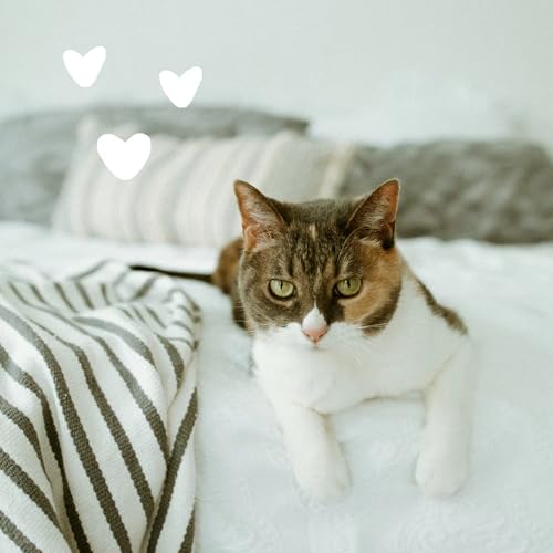 Earthbath Hypoallergenic Cat Shampoo Reviews