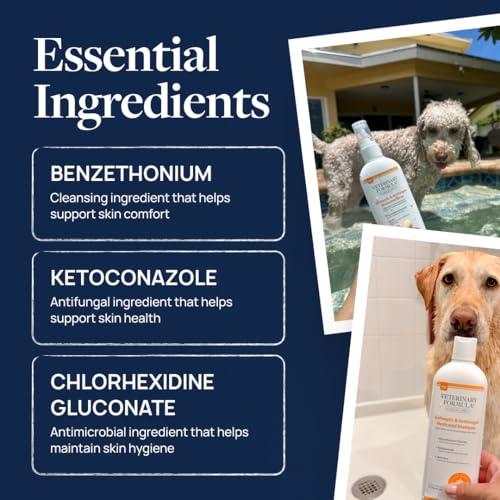 Best Medicated Shampoo For Cats With Allergies