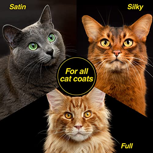 Top 5 Best Cat Specific Shampoo