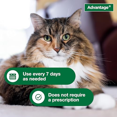 Advantage Flea Shampoo For Cats Reviews