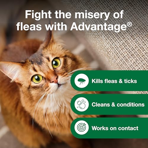 Advantage Treatment Shampoo For Cats Reviews