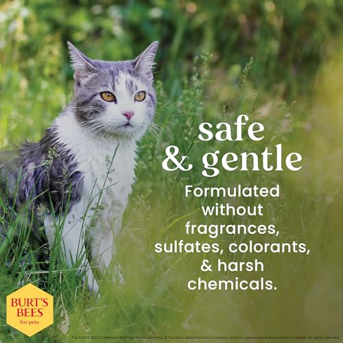 Burt's Bees Cat Shampoo Review