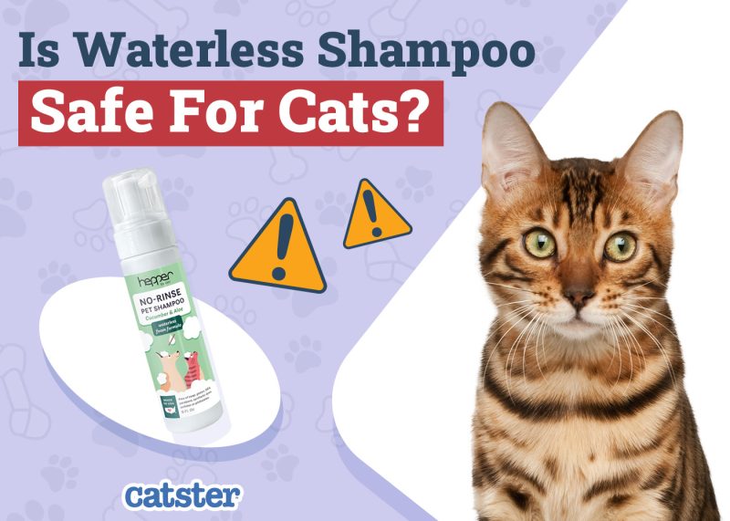 Is Waterless Cat Shampoo Safe For Dogs?