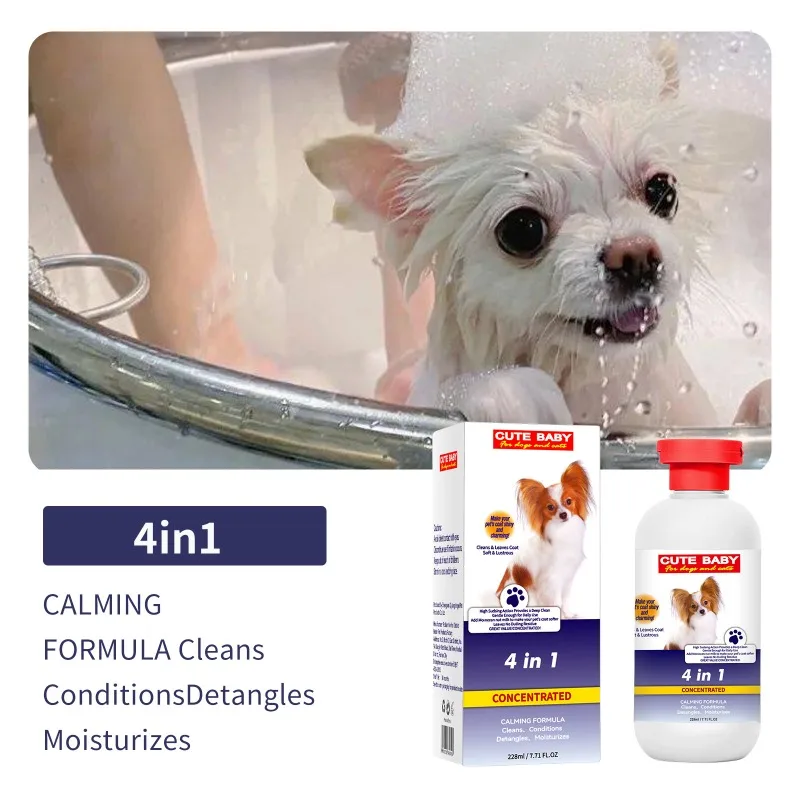 Can You Use Human Shampoo On Cats?