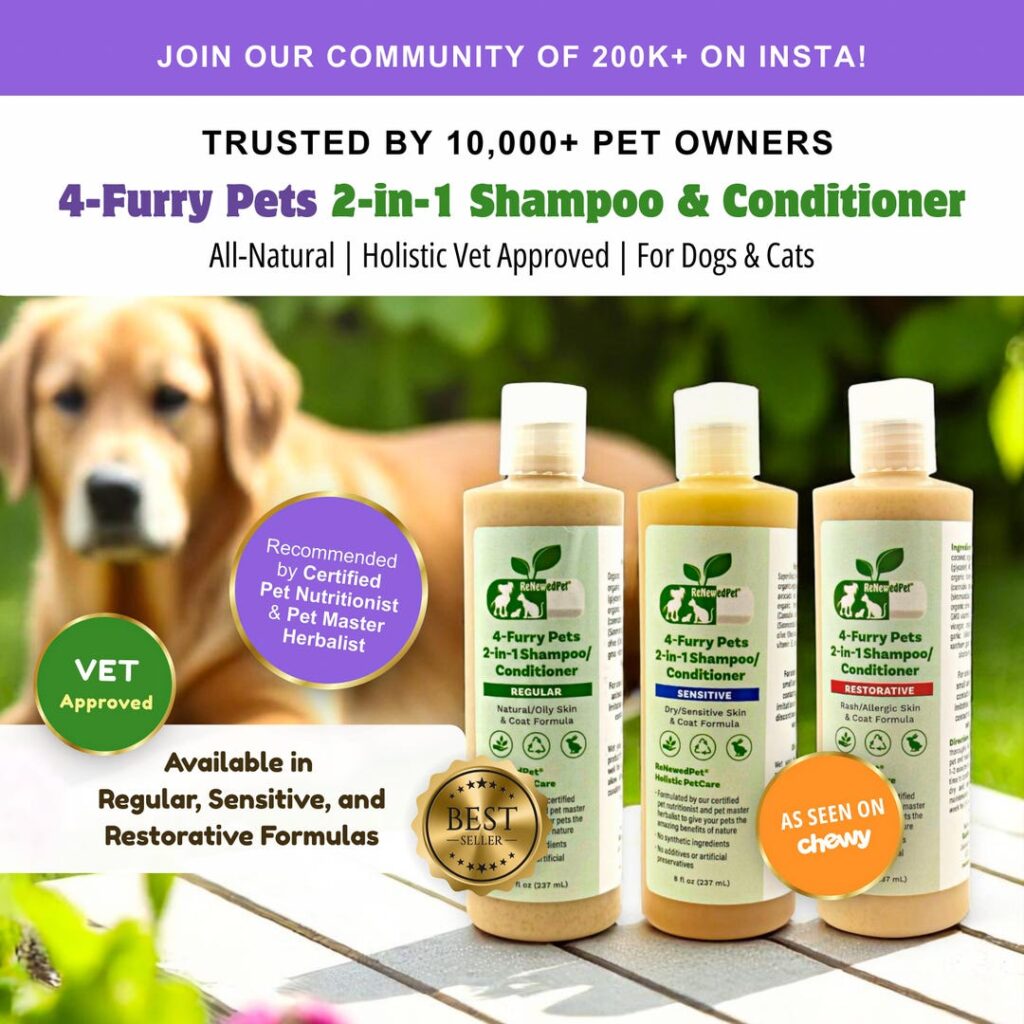 Which Human Shampoo Is Good For Cats?