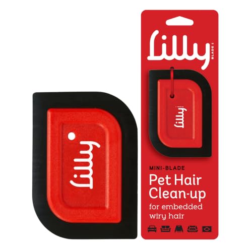 Mini Pet Hair Remover For Car Detailing Reviews