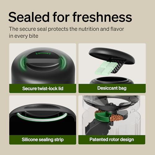 Petlibro Automatic Cat Feeder Review