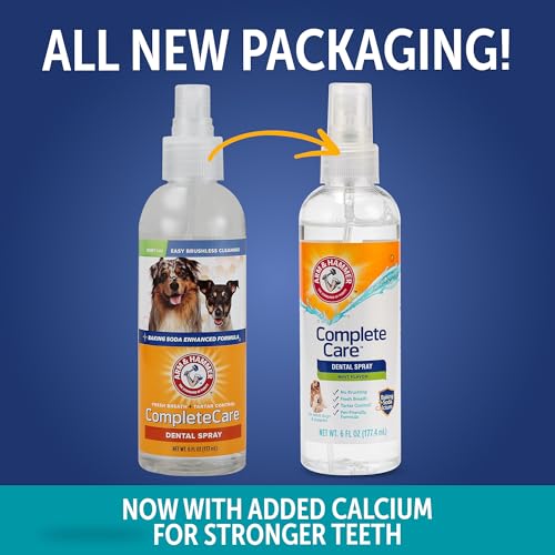 Best Dog Breath Freshener Spray