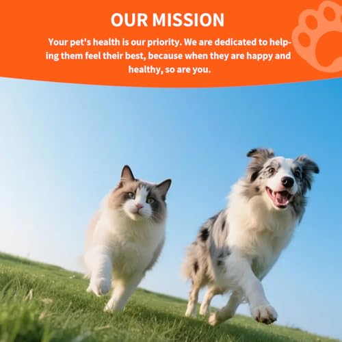 Qubit Disposable Pet Enema For Cats And Dogs Reviews