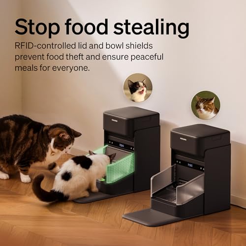 Petlibro Rfid Automatic Cat Feeder Review