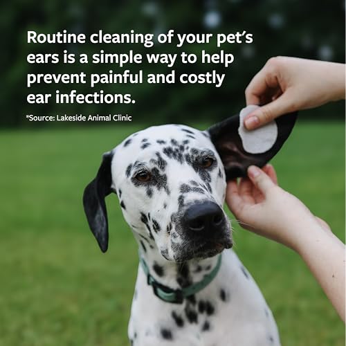 Best Veterinarian Approved Ear Cleaner For Cats