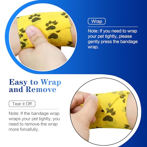 Top 5 Best Paw Bandages For Dogs
