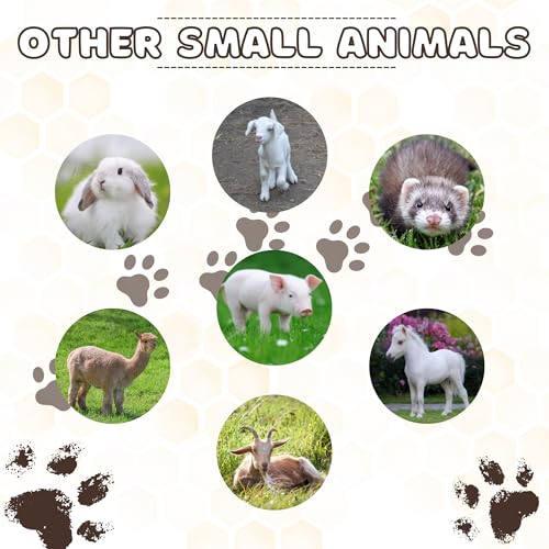 Pill Shooter For Cats And Dogs Reviews