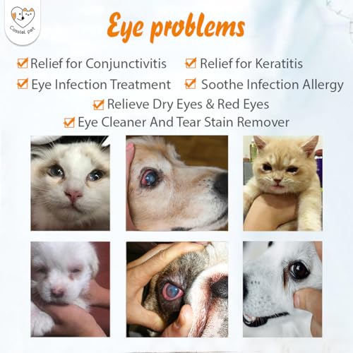 Best Dog Eye Infection Treatment Drops