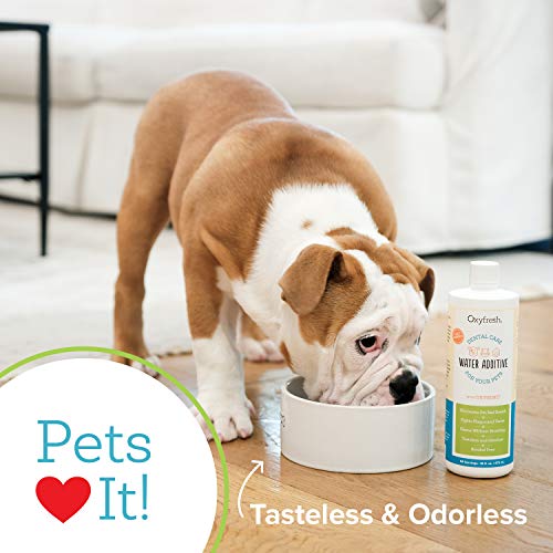 Oxyfresh Pet Dental Water Additive Reviews