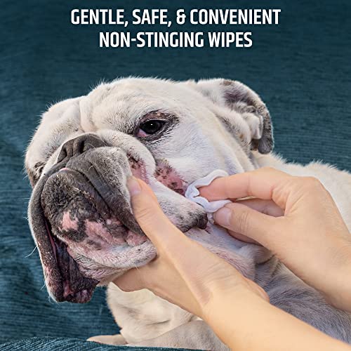 Pet Md Topical Wipes For Cleansing Reviews