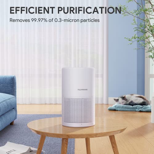 Air Purifier For Large Spaces Reviews