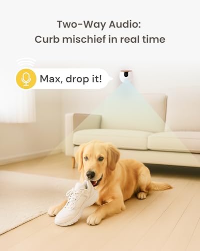 Furbo Pet Camera Reviews