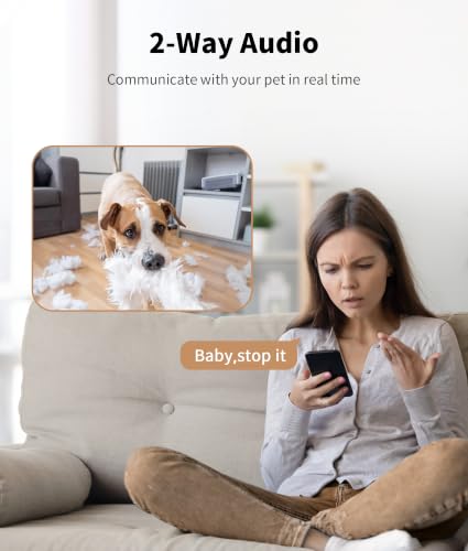 Best Dog Camera Treat Dispenser No Subscription