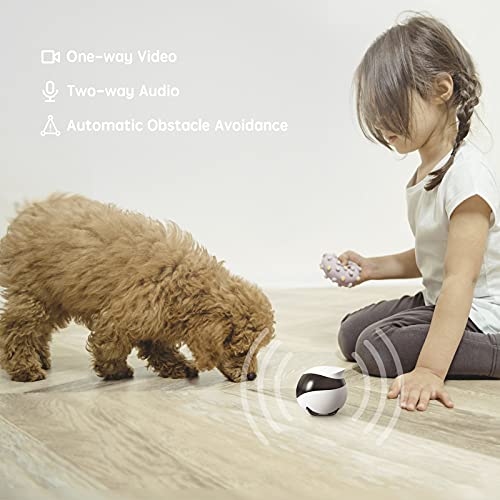 Top 5 Best Robot Camera For Pets