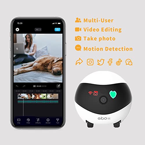 Best Robot Camera On Wheels For Pets