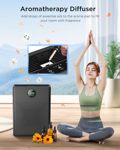 Air Purifier For Home With Pets