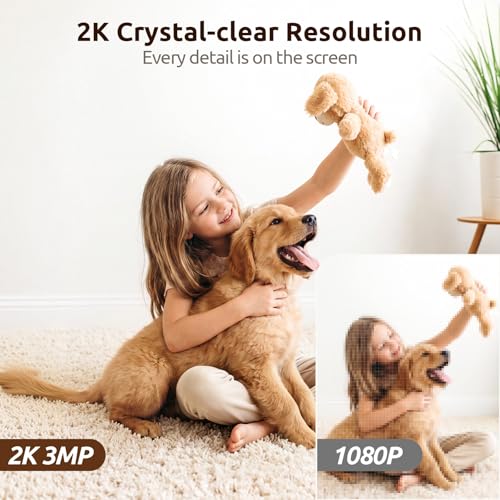 Top 5 Best Indoor Pet Camera Reviews