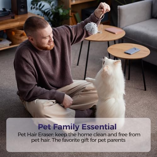 Top 5 Best Small Pet Vacuum For Furniture