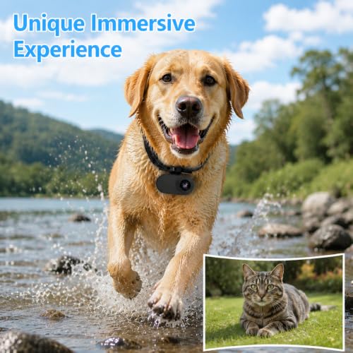 Top 5 Best Dog Collar Camera For UK