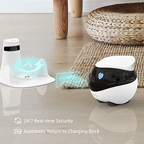Enabot Pet Camera Review