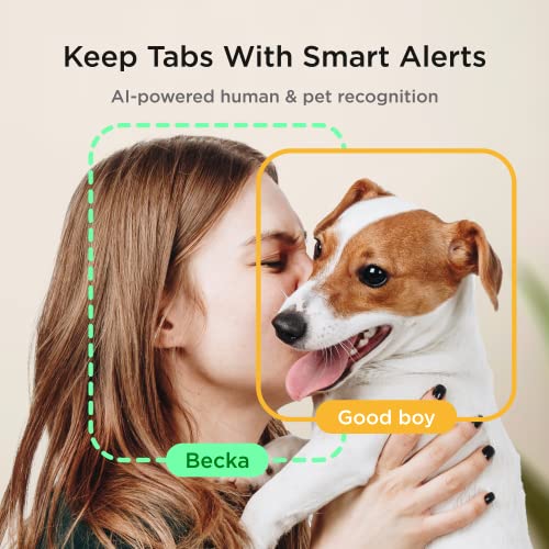Petcube Pet Camera Review