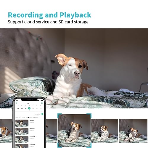 Instachew Puresight 360 Hd Pet Camera Reviews