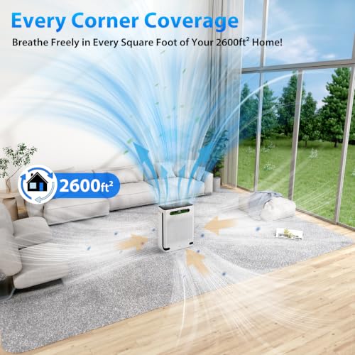 Top 5 Best Air Purifiers For Pet Allergies