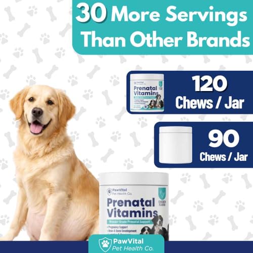 Top 5 Best Vitamins For Pregnant Dogs
