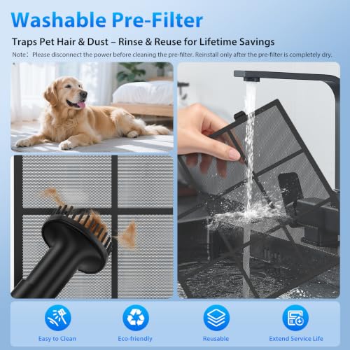 Top 5 Best Air Purifier Cat Allergy